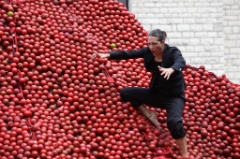 An Apple a day 20 * 5616 x 3744 * (9.17MB)